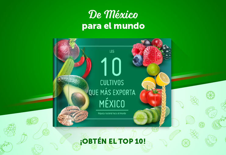Los 10 cultivos que mas exporta mexico